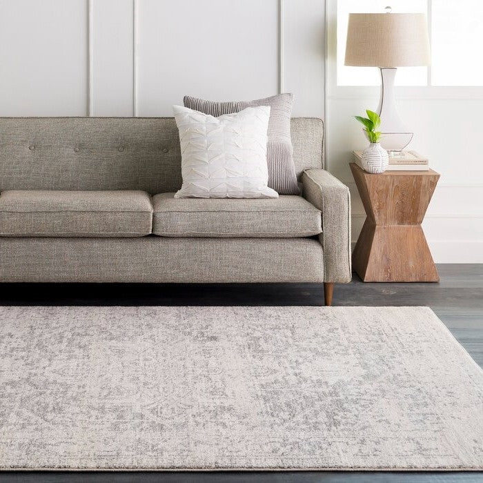 Distressed Oriental Area Rug in Light Grey / Beige