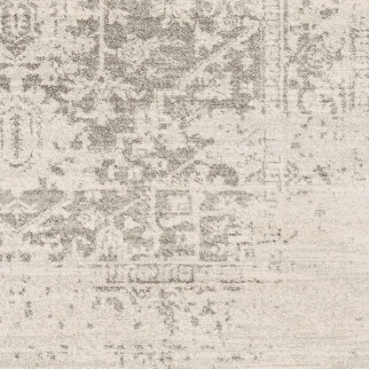 Distressed Oriental Area Rug in Light Grey / Beige