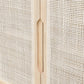 coastal accent cabinet with cane door 32in